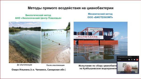 Безопасность природопользования в условиях устойчивого развития