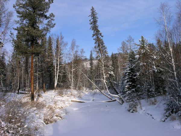 О итогах зимы в программе "Антистресс"