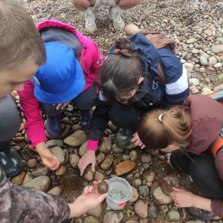 Учебная ознакомительная практика (охрана природы)